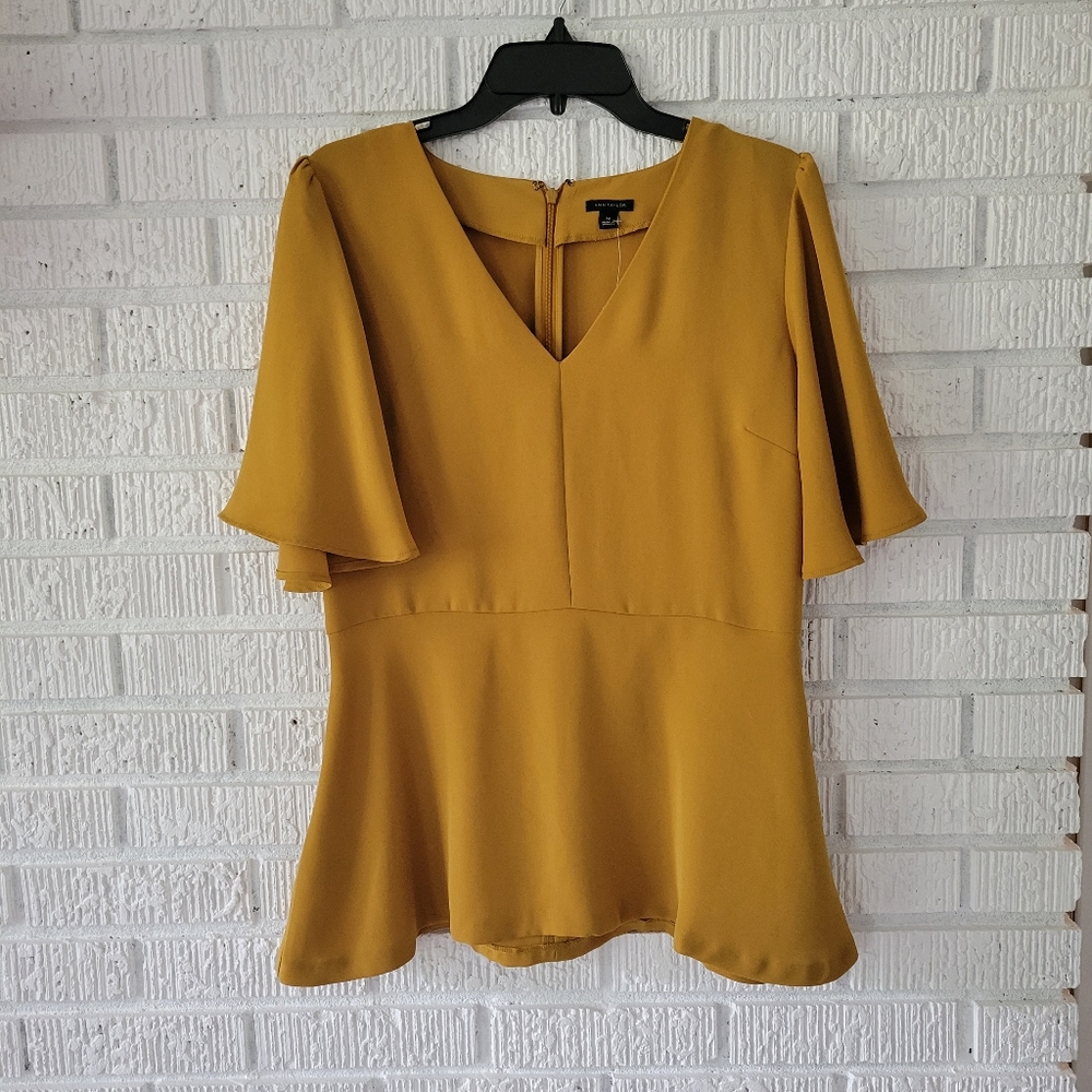 Ann Taylor top